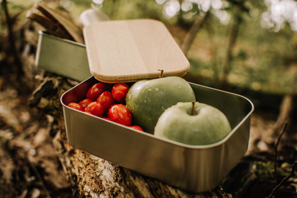 Premium Waldpicknick Lunchbox